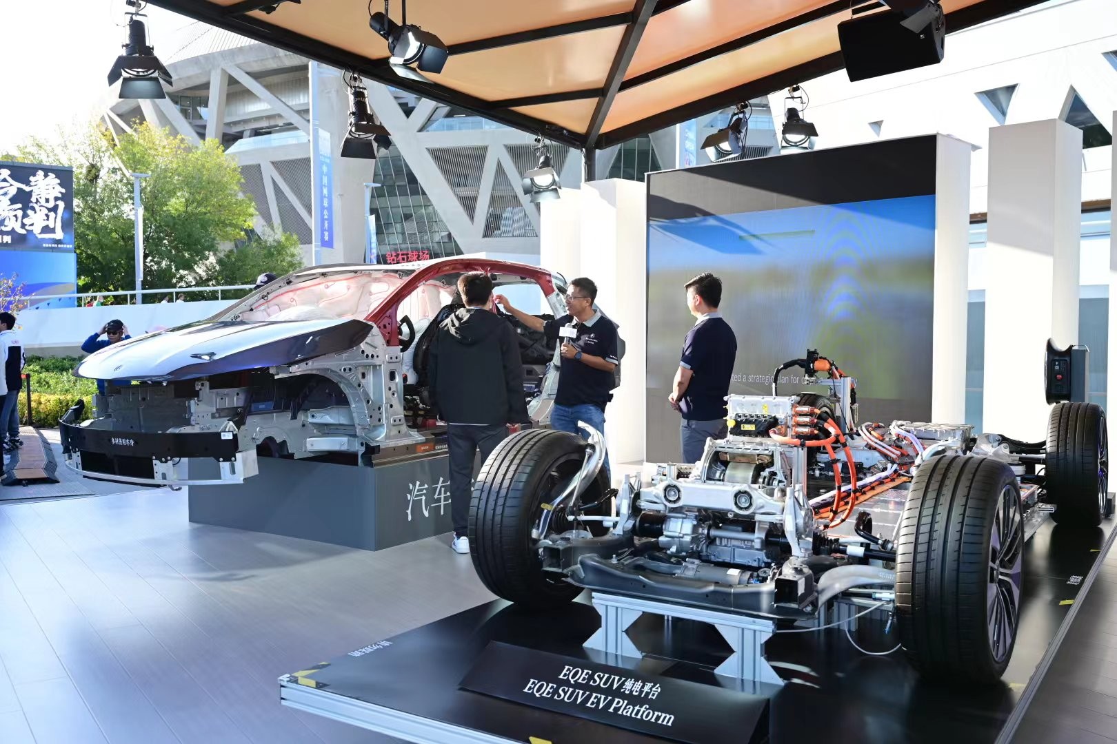 乒乓球小将 乒乓球小将